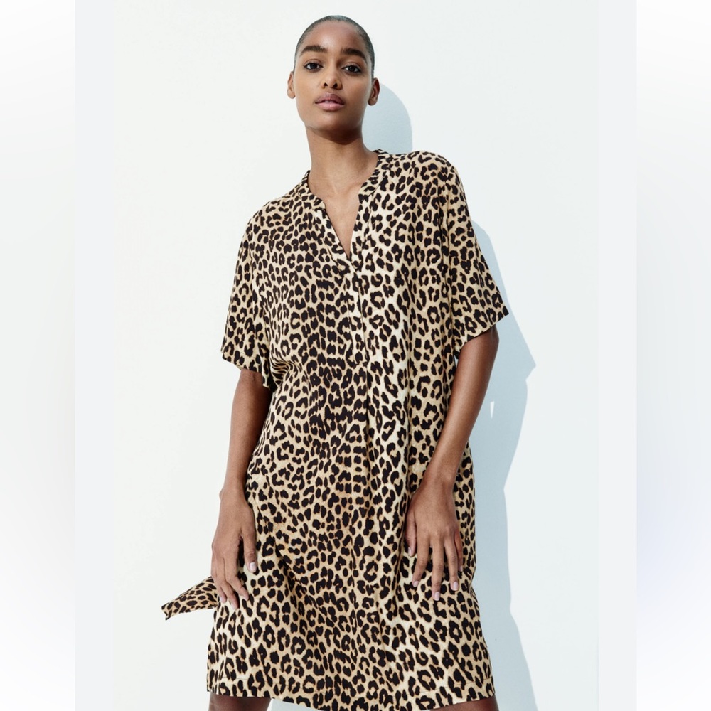 H&M Leopard Print Mini Dress